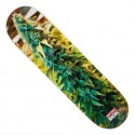 Skate Deck DGK x High Times Cone