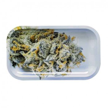 Rolling Tray Girls Scout Cookies 16 x 27cm