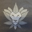 Rudestore Hoody - Lion grau